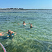 Bath time in Étang de Thau. 