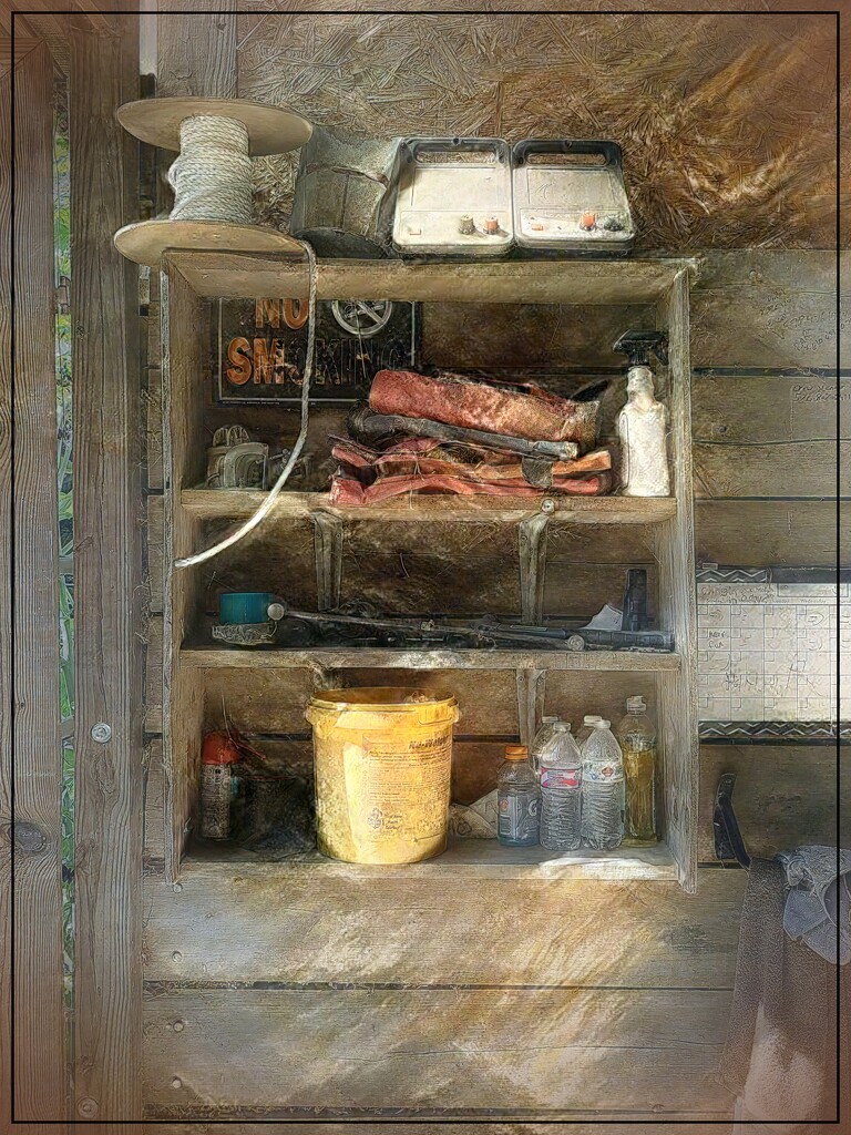 Shelves in the Old Barn by olivetreeann