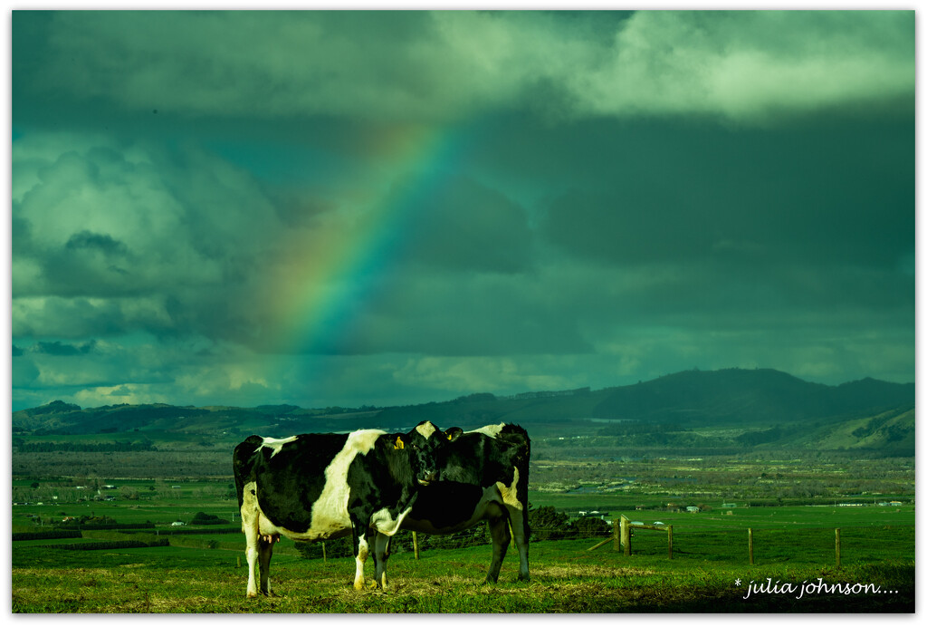 Somewhere under the Rainbow by julzmaioro