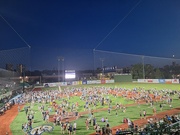 11th Aug 2024 - Fans On The Field