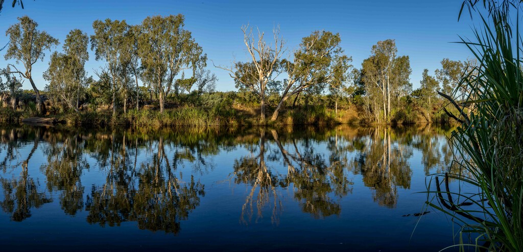 King Edward River at dusk by pusspup