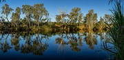 11th Aug 2024 - King Edward River at dusk