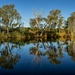 King Edward River at dusk by pusspup