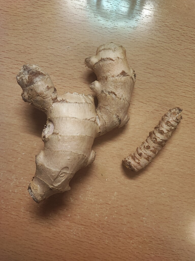 Ginger:turmeric by nami