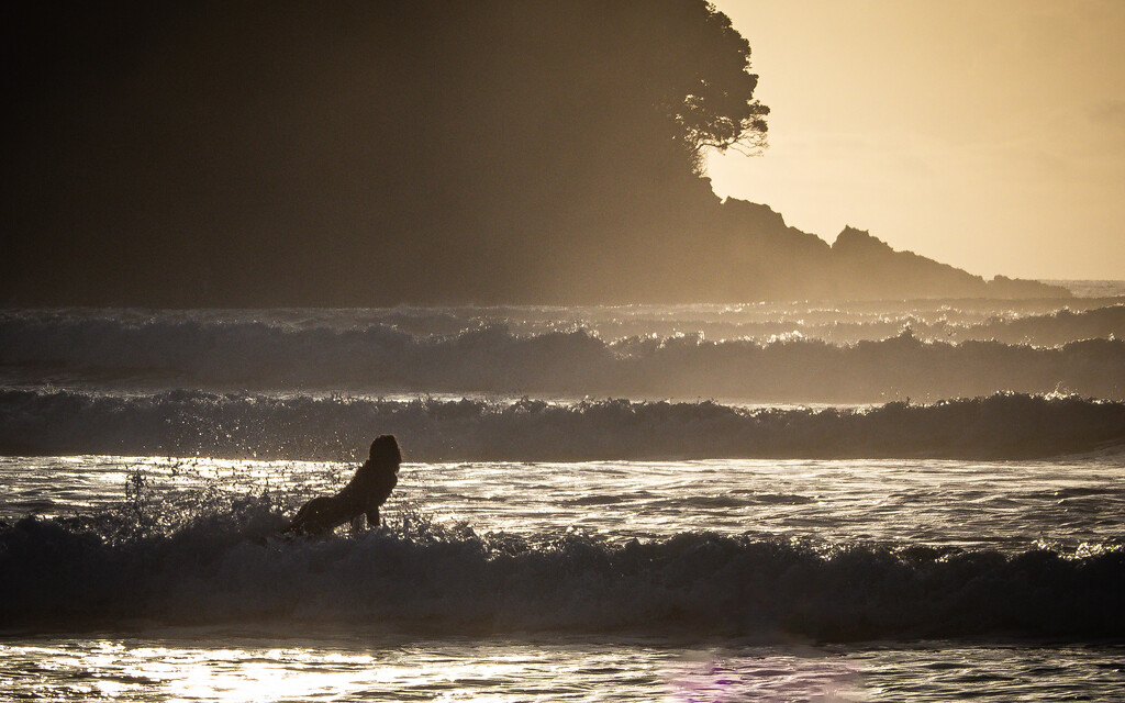 Breaking through the waves by christinav