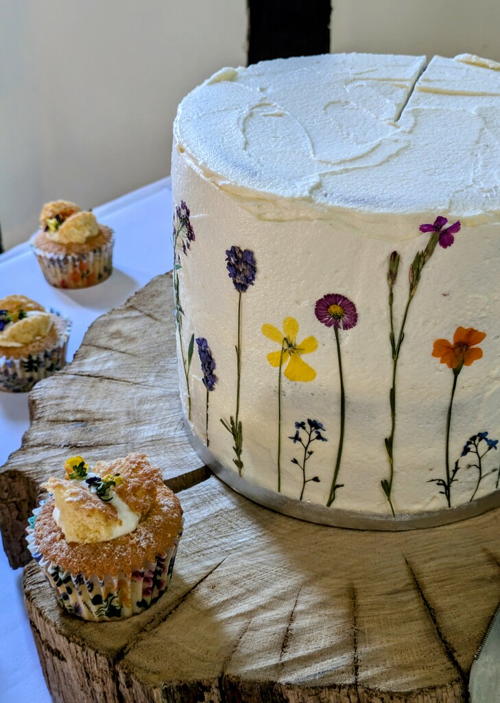 Flowers on the cake  by boxplayer