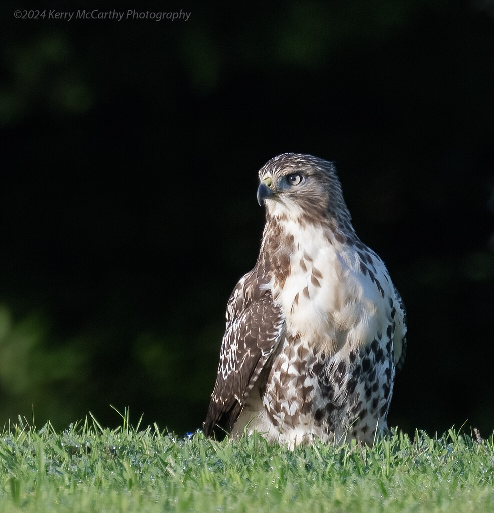 Taking a break by mccarth1