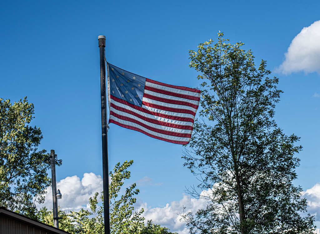 1845 Flag  by darchibald