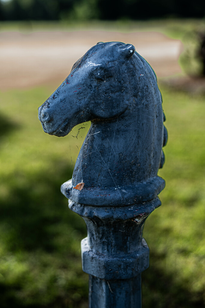 Hitching post by darchibald