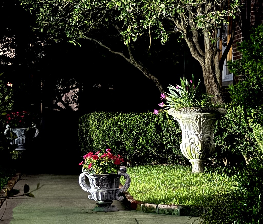 Night scene of Charleston Garden by congaree