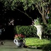 Night scene of Charleston Garden by congaree