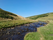 11th Aug 2024 - Barbondale