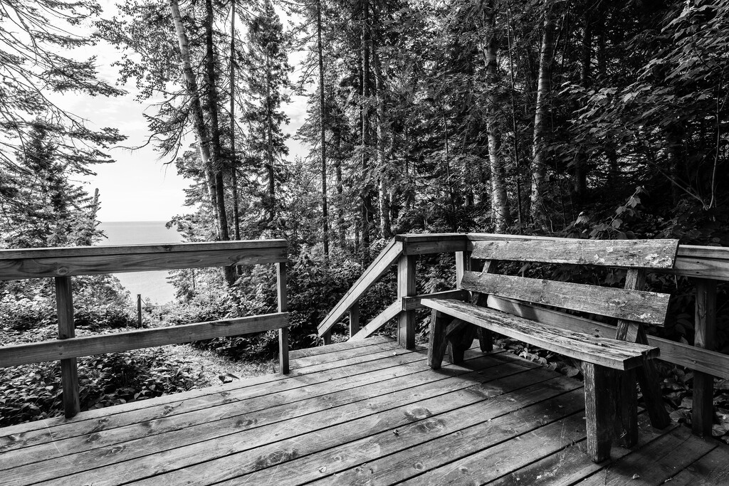 Cabin Deck and Old Bench by tosee