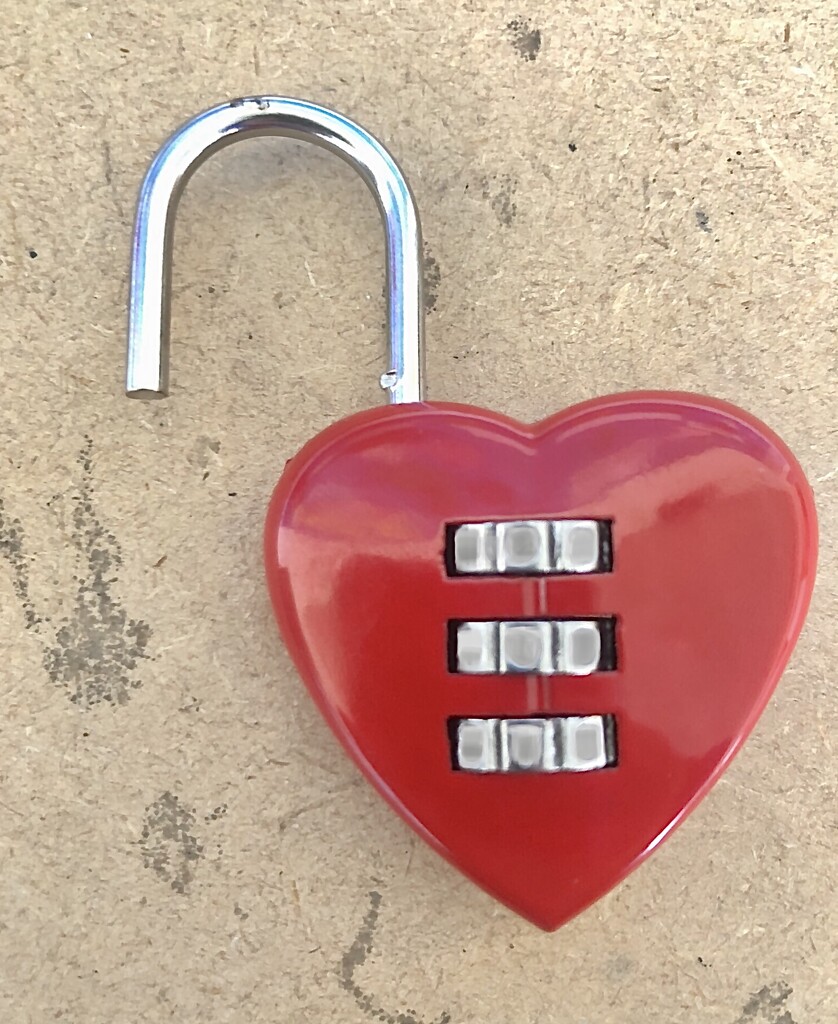 Heart shaped lock by sleepingexplorer