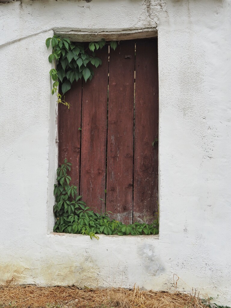 And another door by monikozi