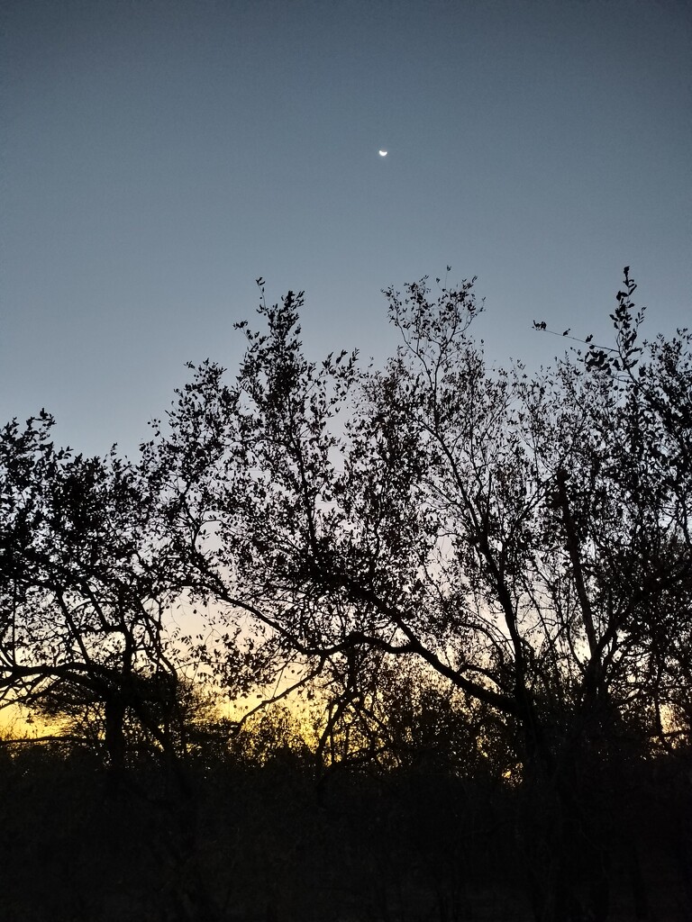 Sunset with moon by mdry