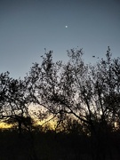 12th Aug 2024 - Sunset with moon