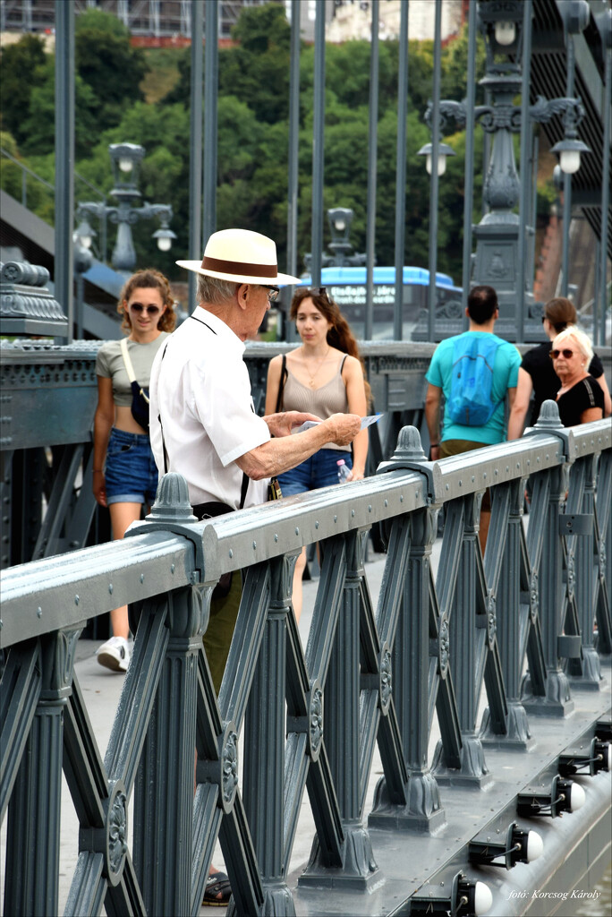 Heavy traffic on the Chain Bridge by kork