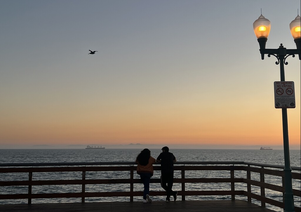 Sunset Silhouettes by redy4et