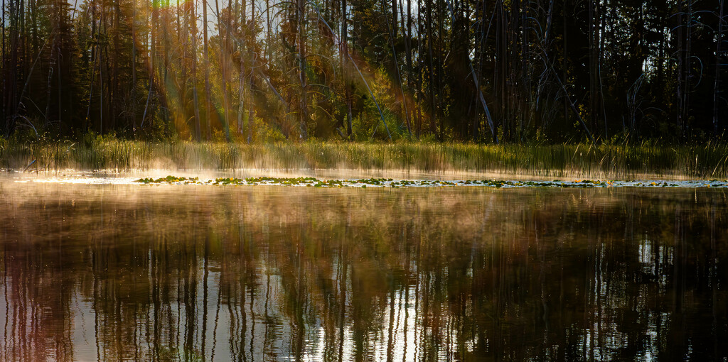 Golden Rays Over Still Waters by veronicalevchenko