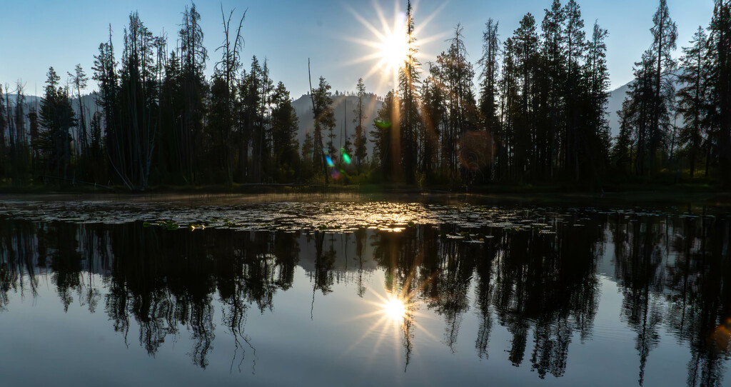 Reflections of Dawn by veronicalevchenko