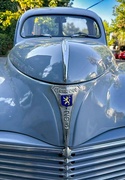 10th Aug 2024 - Peugeot 203: Classic Refinement