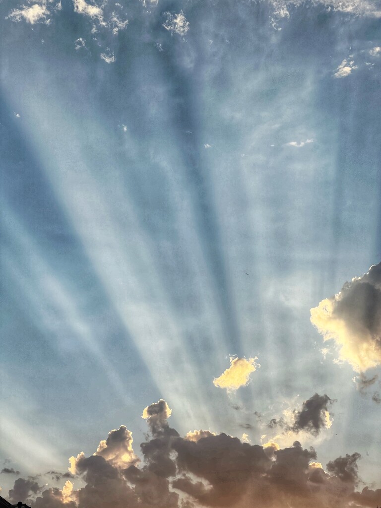 Cumulus clouds with crepuscular rays by mattjcuk