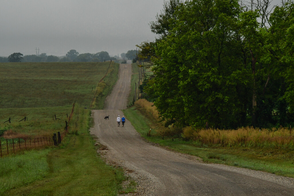 Country Walk by kareenking