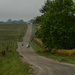 Country Walk by kareenking