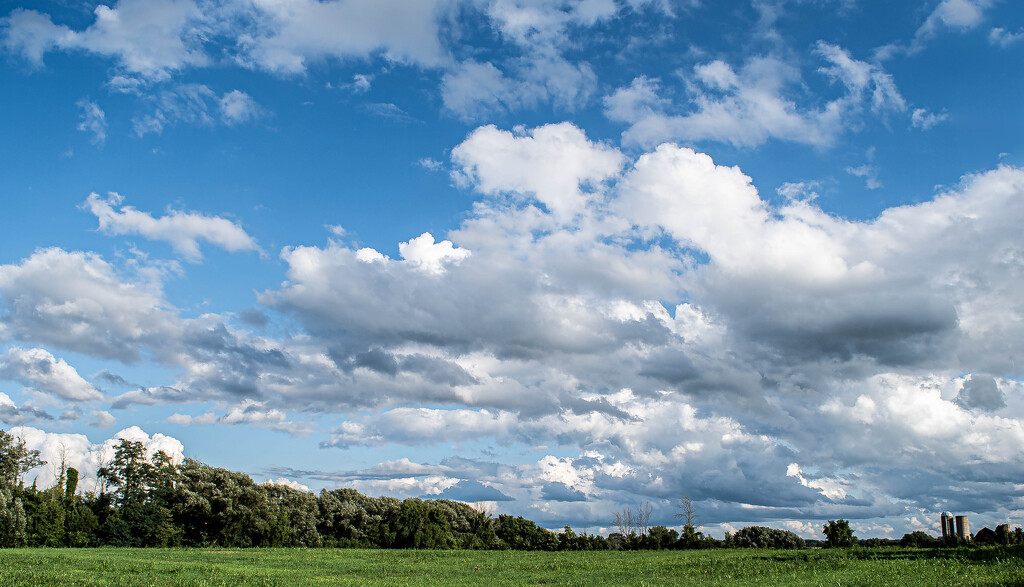 Clouds by darchibald