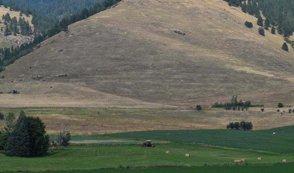 Broad Montana Rural View by bjywamer