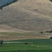 Broad Montana Rural View by bjywamer