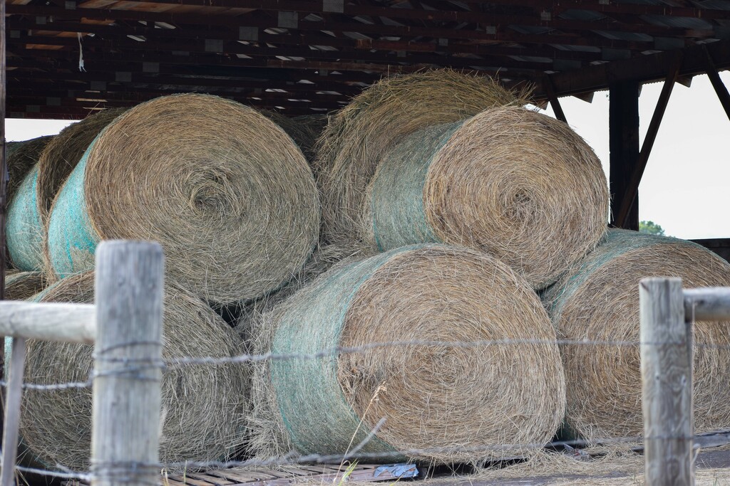 Hay Shed by bjywamer