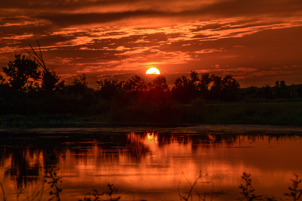 Baker Wetland Sunset 8-9-24 by kareenking