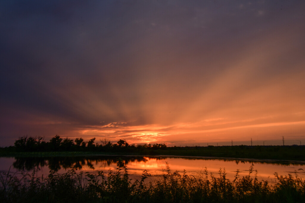 Shadow Rays by kareenking