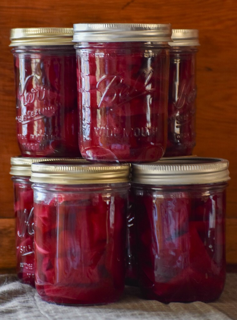 Pickled Beets by bjywamer