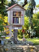 12th Aug 2024 - Little Free Library 