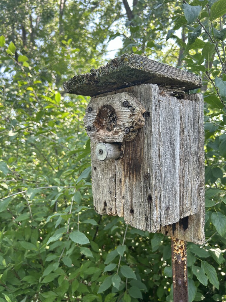 An old birdhouse by mltrotter