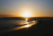 12th Aug 2024 - Lensbaby Sunrise