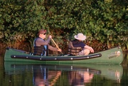 4th Aug 2024 - Out for a Nice Evening Paddle