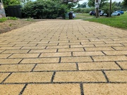 10th Aug 2024 - Yellow brick road