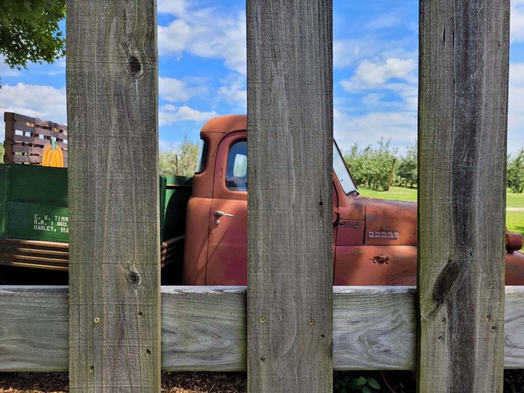 Thru the fence by scoobylou