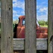 Thru the fence by scoobylou