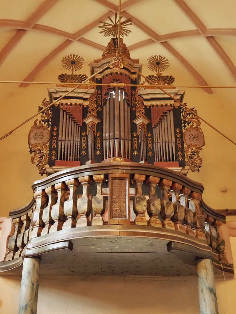 Organ by monikozi