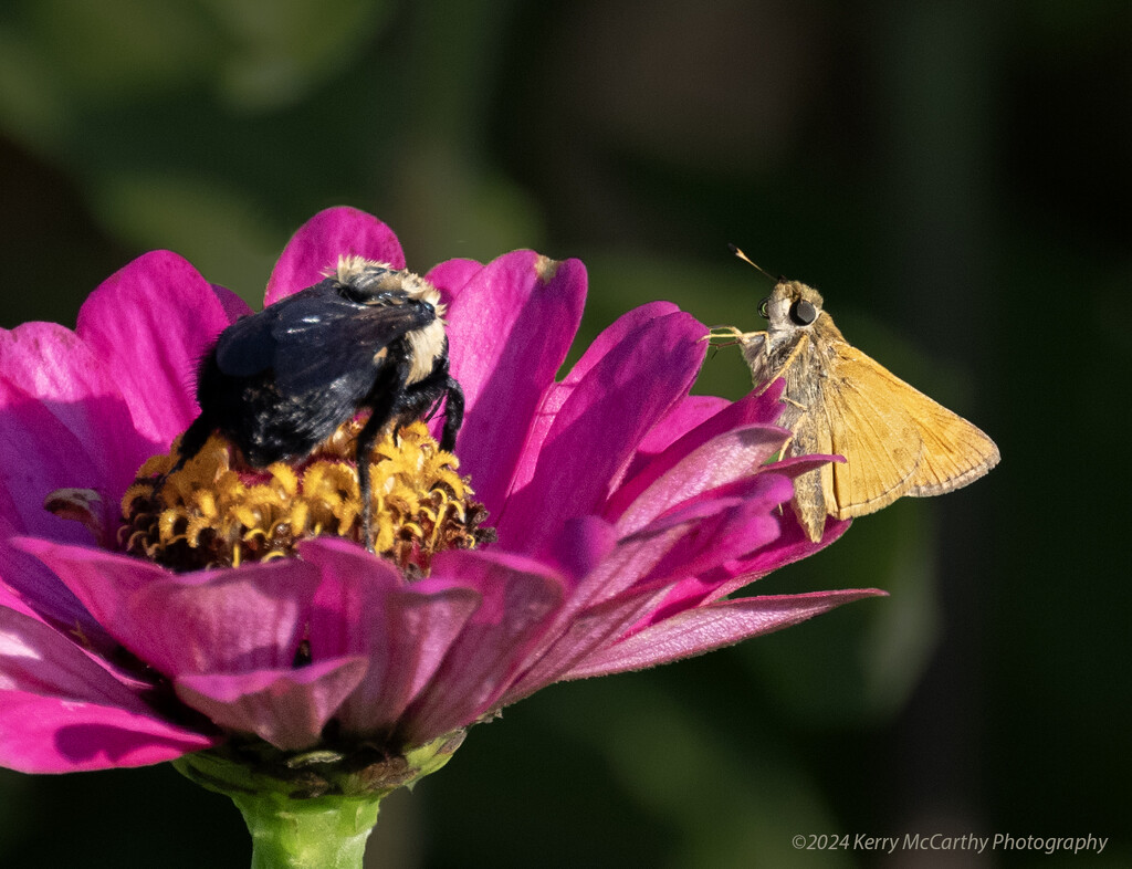 Eye to eye by mccarth1