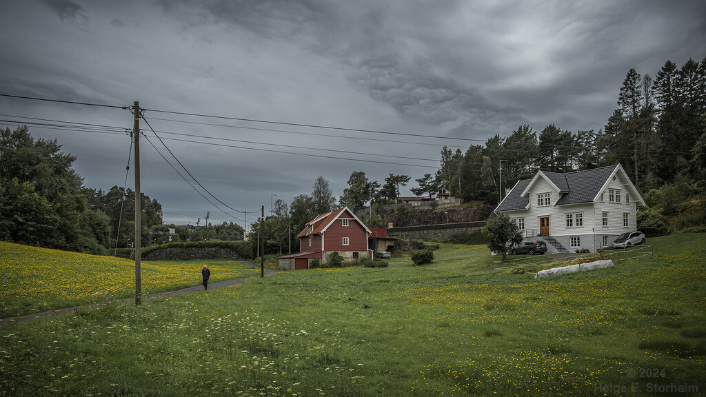 Yellow flowers and moody sky by helstor365