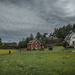 Yellow flowers and moody sky by helstor365