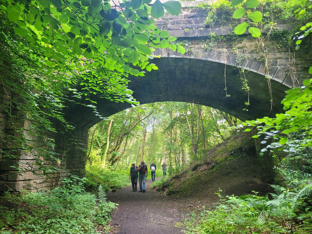 Under the Bridge by clearday