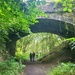 Under the Bridge by clearday