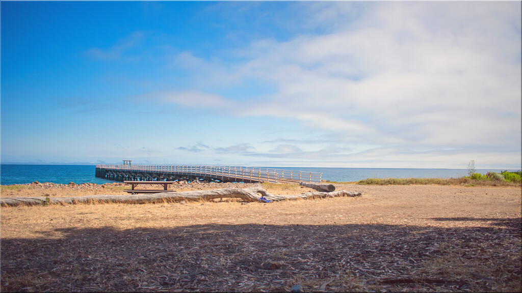 Santa Cruz Island-Prisoners Harbor by 365projectorgchristine